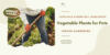 Vegetable Plants for Pots: A Complete Guide to Growing Fresh Vegetables at Home. - Post Thumbnail
