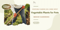 Vegetable Plants for Pots: A Complete Guide to Growing Fresh Vegetables at Home.