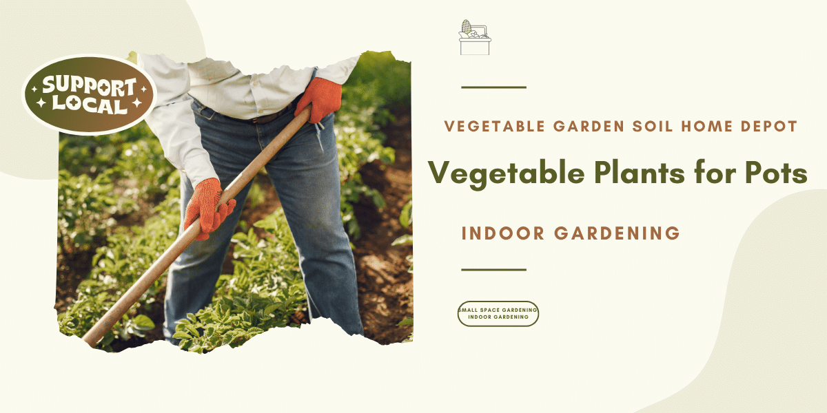 Vegetable Plants for Pots: A Complete Guide to Growing Fresh Vegetables at Home.